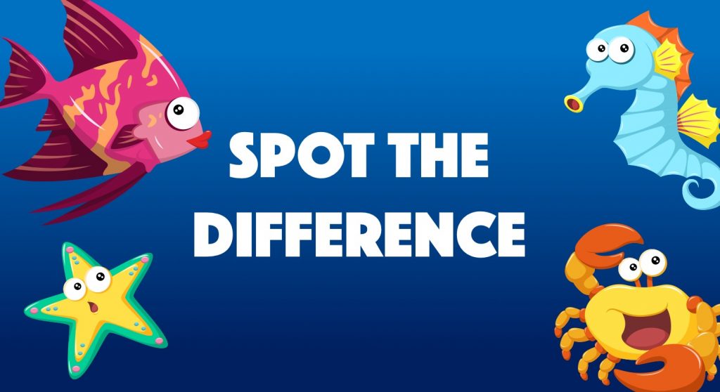 MD Sport Solutions - Spot the Difference